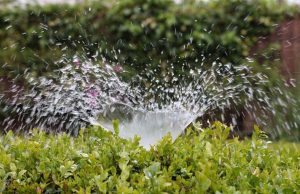 Sprinkler Water-Save It-Springwood Marketing, LLC