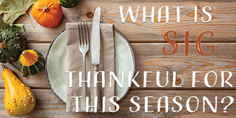 What is Stone Insurance Group Thankful For This Season? You!- Stone Insurance Group