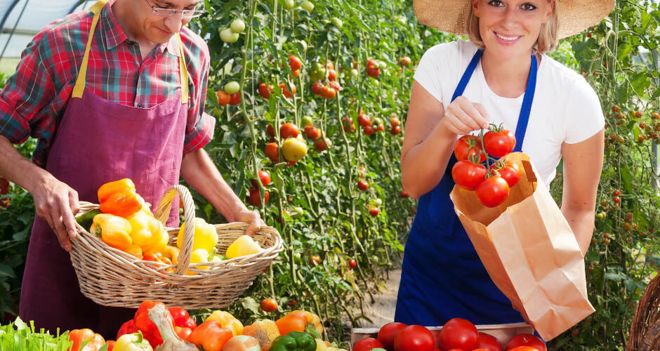 People working together at a farm stand to harvest and organize a variety of fresh produce.